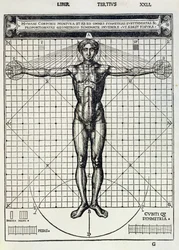 Ideal proportions based on the human body, from 